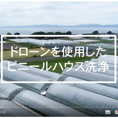 洗浄