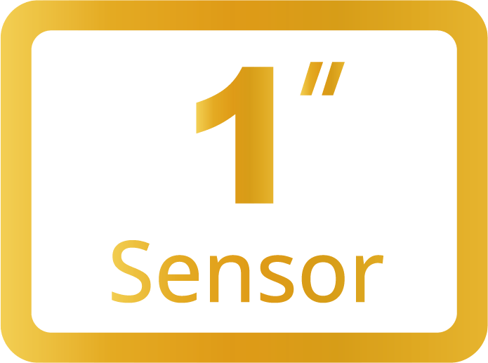1  Sensor